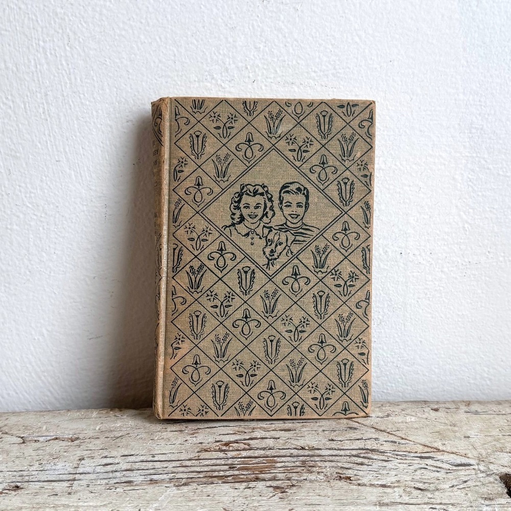 Vintage 1947 The Bobbsey Twins in Mexico Hardcover Laura Lee Hope no 40